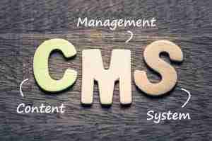 Webflow vs Wordpress Quale CMS usare