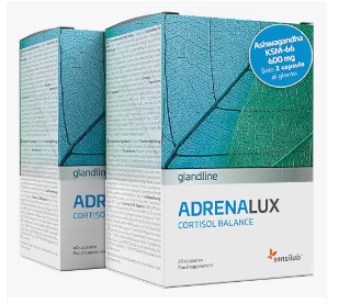 ice screenshot 20250521 144805