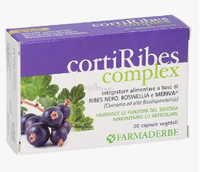 ice screenshot 20250521 200421