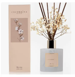 ice screenshot 20250613 003657